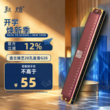 敦煌盘古臻艺28孔复音口琴C调正品专业教学学生成人初学乐器G28