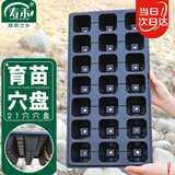 寿禾 穴盘育苗器种植盒多肉瓜果蔬菜播种杯 穴盘21孔5片