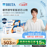 碧然德（BRITA）家用净水壶 滤水壶滤芯 MAXTRA+LE 专家滤芯 12枚装（本品加附件6个共计12个非18枚）