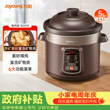 九阳（Joyoung）电炖锅电炖盅5L大容量紫砂预约电砂锅 多功能锅 智能定时精炖煮粥煲汤锅DG50Z-GD510