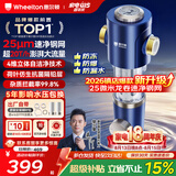 惠尔顿前置过滤器20T大通量过滤25微米反冲洗家用全屋净水器 实时自动清洗刮洗自来水防爆过滤器P0038pro 自行安装【20T-升级25微米精滤】