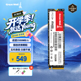 长城（Great Wall）512GB SSD固态硬盘 M.2接口(NVMe协议)PCIe 3.0x4 GW3500系列 读速可高达3500MB/s