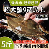 【冷冻】森农乐舟山梭子蟹鲜活特大野生螃蟹（26年新蟹活冻顺丰） 9两以上/只【5斤净重 超大肥美】