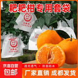 耙耙柑专用套袋柑橘果袋脐橙子春见不知火芒果石榴防虫鸟水果套袋 中号刀把款17*21（8000个）