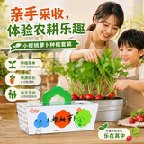 IAM City Farmer盆栽小萝卜DIY种植趣味萝卜种子幼儿园儿童家庭种菜工位种菜10100