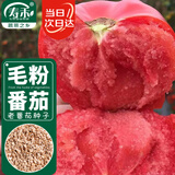 寿禾毛粉沙瓤番茄种子种苗西红柿夏秋菜籽 潍育粉冠大番茄种子100粒