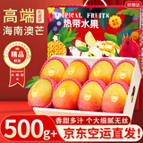 京地达海南澳芒新鲜芒果礼盒净重8斤单果1斤+ 应季新鲜水果源头直发