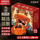 【活蟹】漁家师傅大闸蟹公3-3.3两母2-2.3两4对8只 鲜活螃蟹现货生鲜水产礼盒中秋送礼