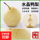 京喜加赵州水晶鸭梨新鲜水果产地直发【六】单果180g起 1粒单果170g+