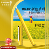 施耐德（Schneider）钢笔学生成人练字笔男女三四年级签字墨水笔EF尖 BK406-柠檬黄161818