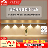 雷士（NVC）波纹猫眼感应灯带自粘橱柜灯磁吸入户玄关充电LED氛围灯银色80cm