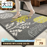 大江入户地垫门口脚垫户外进门地毯高端丙纶入户门垫60x90cm