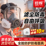 恒辉防毒面具全面罩 防有机气体/蒸苯及其同系物 工业化工化肥防护面具 防毒全面具【1个】