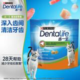 齿一生猫零食猫咪饼干洁齿零食成猫 鸡肉味170g 磨牙减少牙结石