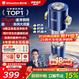 惠尔顿前置过滤器20T大通量过滤25微米反冲洗家用全屋净水器 实时自动清洗刮洗自来水防爆过滤器P0038pro 自行安装【20T-升级25微米精滤】