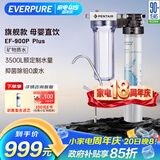 爱惠浦（Everpure） 家用矿物质厨下净水器 大流量0废水直饮 1.8L/分钟3500L处理量 EF-900P Plus