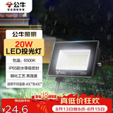 公牛（BULL）LED投光灯户外庭院工厂园林灯露营灯 IP65防水等级20W-6500K白光