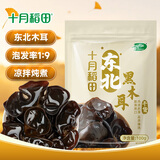 十月稻田 东北黑木耳 100g 肉厚无根 干木耳 黑龙江东宁特产 火锅煲汤凉拌