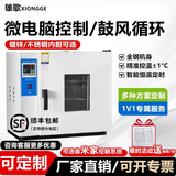 雄歌智能电热恒温鼓风干燥箱烘干箱恒温箱工业烤箱小型烘箱实验室商用 (202-0A)15L镀锌内胆/无鼓风-卧式