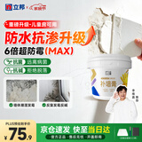立邦补墙膏墙面修复防水防霉抗菌墙面修补膏堵洞腻子膏白色2.5kg