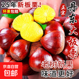 京喜加丹东新鲜板栗糖炒栗子原料糯甜板栗可生吃新鲜蔬菜生鲜 丹东鲜板栗 5斤 净重