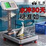 至尊（ZHIZUN）防水电子秤 做生意用商用秤 摆摊台秤落地秤电子称水产海鲜计价秤 【200公斤32*42】整机防水耐锈钢键