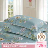 艾薇 A类枕头套纯棉家用全棉单人枕套一对枕芯套 清馨花园 48*74cm