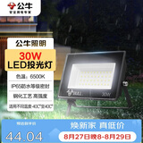 公牛（BULL）LED投光灯户外庭院工厂园林灯露营灯 IP65防水等级30W-6500K白光