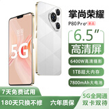 掌尚荣耀新品1024G大内存7800mAh快充大电池5G骁龙888防水防摔拍照手机 雪欲白 16GB运行+128内存 官方标配