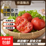 山东新鲜沙瓤大番茄西红柿减肥早餐即食新鲜蔬菜生鲜单果＞100g 囤货装 5斤 净重