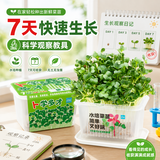 匠心绽放水培菜种植套装儿童种植小盆栽幼儿园DIY植物绿植观察萝卜10115
