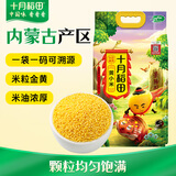 十月稻田 内蒙古黄小米 5斤 京东溯源 小米黄小米 早餐粥杂粮米