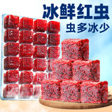 疯狂水草六角恐龙饲料冰冻红虫鱼食蝾螈娃娃鱼饲料开口专用精品红线虫鱼粮 精品大红虫 100g 3板 【鲜肥高蛋白】 【冰鲜直发】送化冰盒+镊子