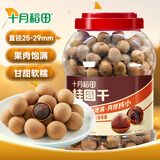 十月稻田 桂圆干 1000g 带壳龙眼干 肉厚甘甜 休闲零食 枸杞红枣