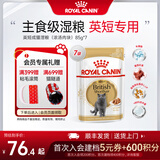 皇家猫粮英短成猫粮 BS34 通用粮丰盈毛发健硕体态 主食级通用粮 英短成猫湿粮（浓汤肉块）X7