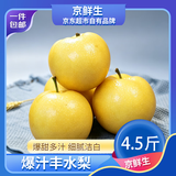 京鲜生河北爆汁丰水梨 净重4.5斤 单果250g+ 生鲜水果 源头直发