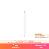 Apple/苹果 Pencil(USB-C) 磁吸触控笔手写笔苹果笔电容笔iPad笔 适用iPad(A16)/mini/Pro/Air