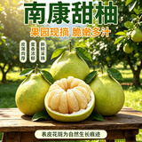 趣觅鲜南康甜柚早熟柚子江西赣南特产新鲜水果正宗斋婆柚子 18斤带箱大果