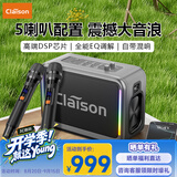 CLAISON T187无线蓝牙音箱户外K歌便携蓝牙音响一体机大喇叭大功率立体声重低音炮混响带2个麦克风 锖色