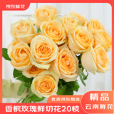 京东鲜花云南鲜花昆明基地香槟玫瑰买10枝送10枝生活鲜花源头直发