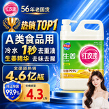 红玫瑰（Hongmeigui） 生姜洗洁精1.5kg生姜提取液去腥去膻去油污A类食品用冷水去重油