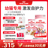 皇家猫粮 幼猫猫粮 干湿搭配 K36 4.5kg+啫喱肉冻KJP 85G*3