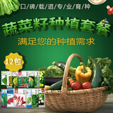 凤鸣雅世 四季蔬菜种子都市菜园速生阳台农家庭院盆栽油菜菠菜芹菜香菜籽 12种蔬菜种子套餐