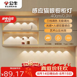 公牛（BULL）感应猫眼橱柜灯磁吸充电山丘光效展柜玄关氛围小夜灯 银40cm三色