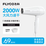 飞科电吹风机家用发廊大功率2000W速干恒温便携可折叠白色FH6232
