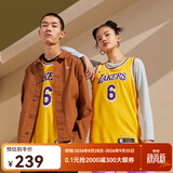 耐克（NIKE）NBA官方洛杉矶湖人勒布朗詹姆斯SW球迷版男子速干球衣篮球服 湖人队/詹姆斯 L
