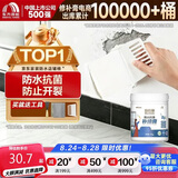 雨虹防水 雨虹墙面修补漆 1KG