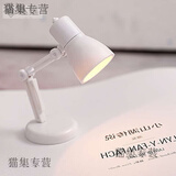 霆旭小台灯 创意迷你版小台灯学生宿舍被窝看书不充电可爱小夜灯达霆 迷你台灯白色暖光 共1个 +共9个电池