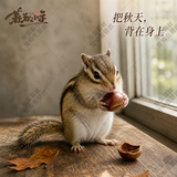 暮秋小主2026头窝家养松鼠活物幼崽宠物雪地黄山金花松鼠活物魔王松鼠活体 金花松鼠亚成（公母备注）