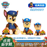 汪汪队立大功（PAW PATROL）汪汪队玩具毛绒全套狗狗玩偶公仔男女孩玩具旺旺队儿童生日礼物 经典款-阿奇公仔【需选尺寸】 中号-坐或站高约17~22.9CM